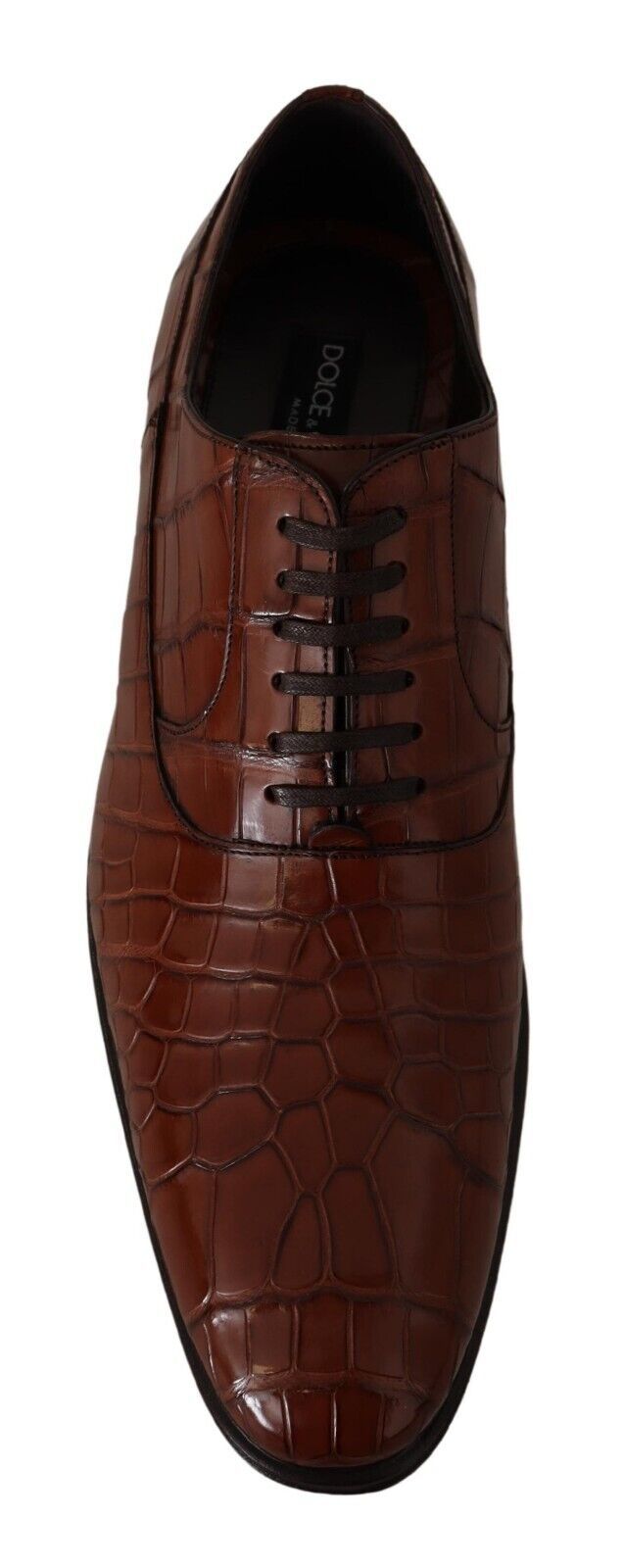 Dolce & Gabbana Bruna Krokodilskinnsskor Herr Formella Derbyskor