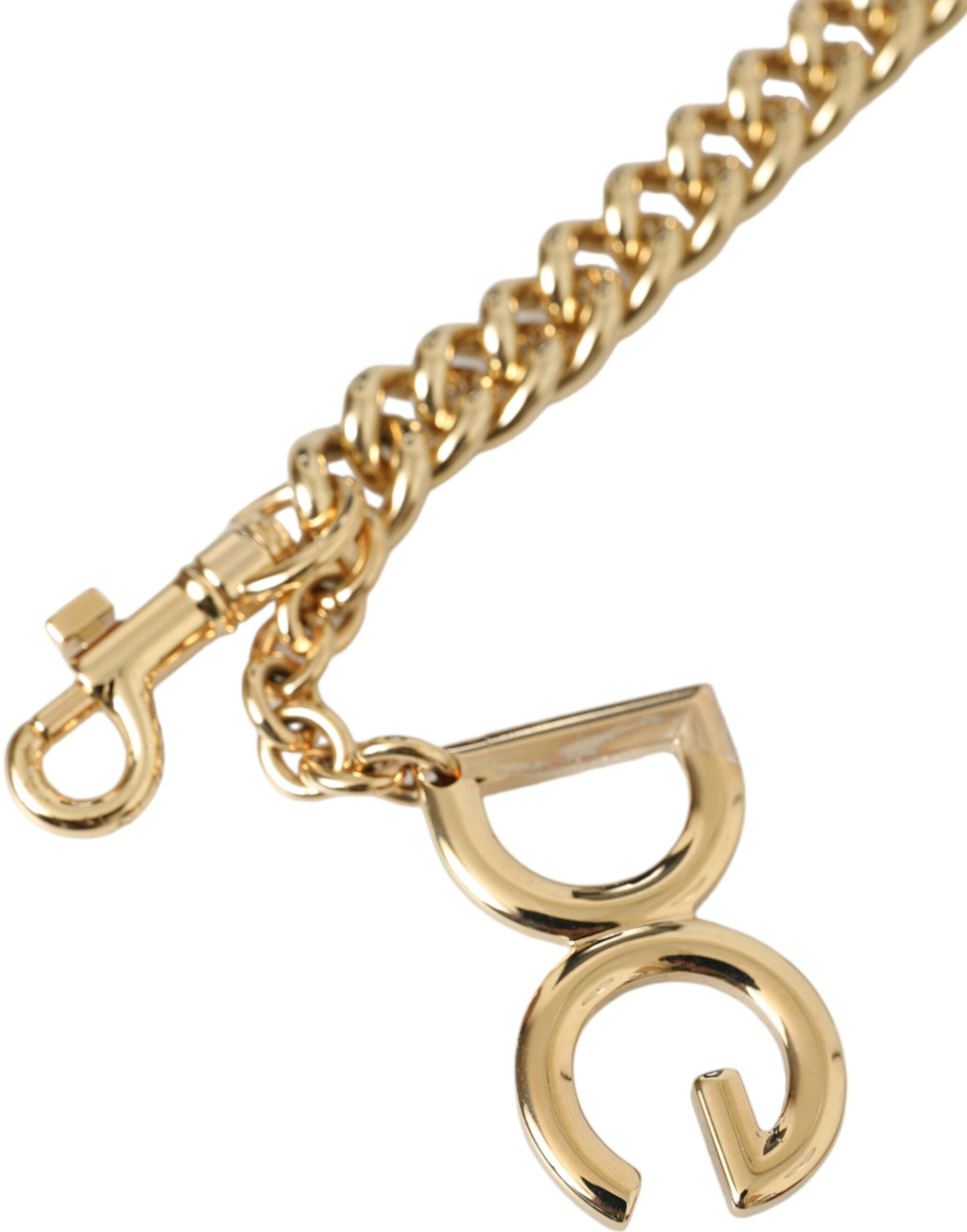 Dolce & Gabbana Brun Leopardväska Tillbehör Axelrem