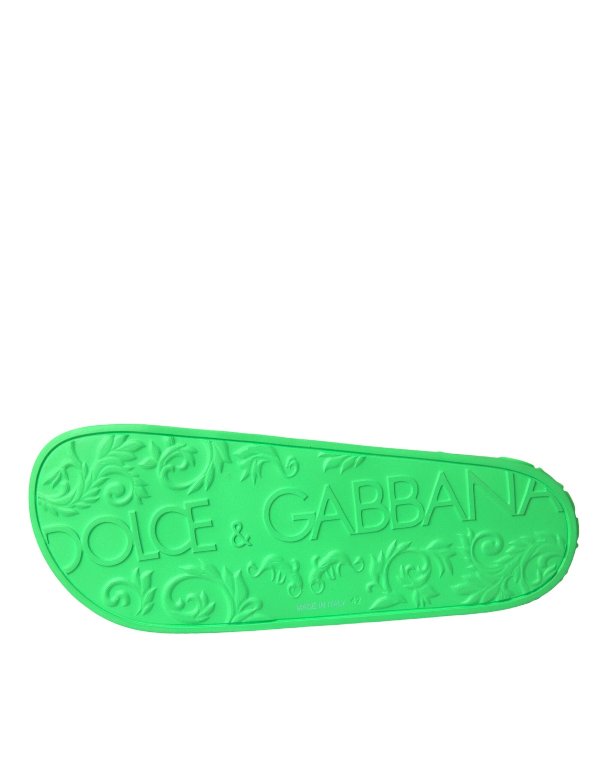 Dolce & Gabbana Gröna Lädersandaler Strandskor