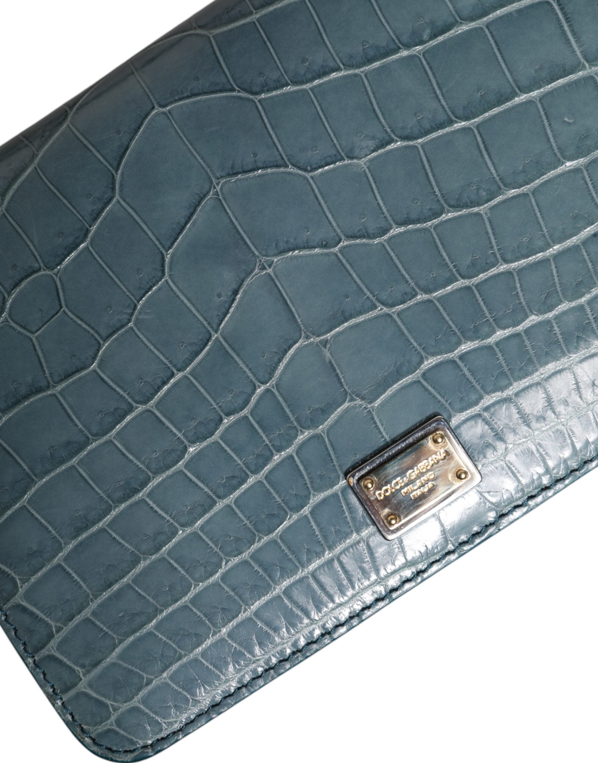 Dolce & Gabbana Grön Exotisk Läder DG Plaque Axelremsväska Mini