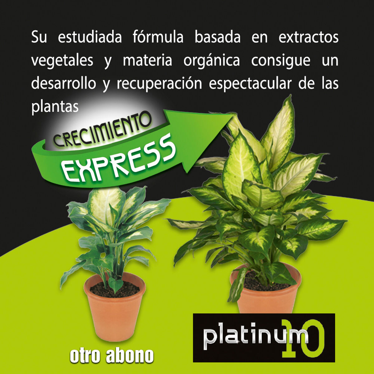 V3H600BFA2E3B6B3EC3F324BC86D5E7B343R5565885P3