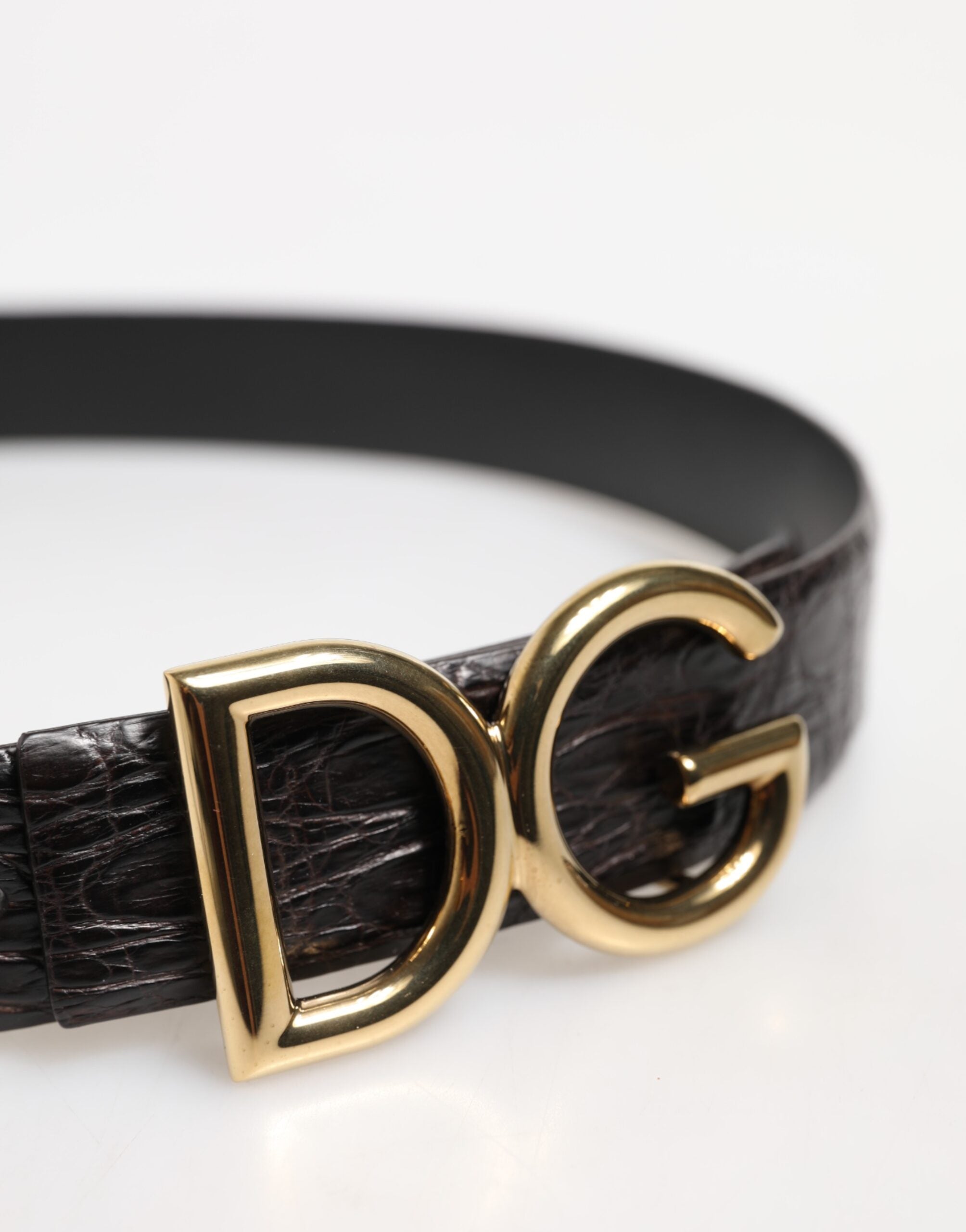 Dolce & Gabbana Svart Exotiskt Läderbälte med DG-Logotypspänne