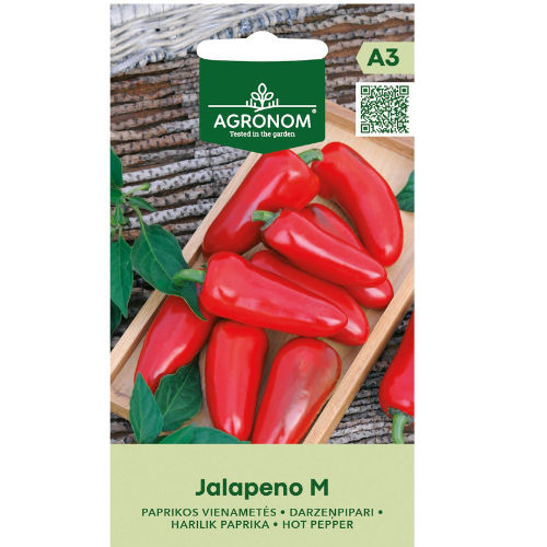 Chili - Jalapeño M