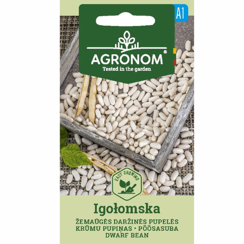Bönor - Dvärg-Igołomska
