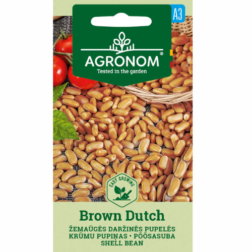 Brytböna - Brun holländsk
