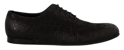 Dolce &amp;amp; Gabbana Svarta Caiman Läder Herr Oxford Skor