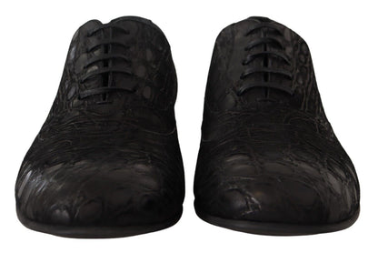 Dolce &amp;amp; Gabbana Svarta Caiman Läder Herr Oxford Skor