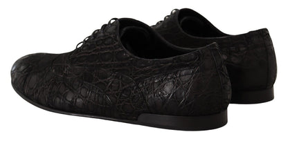 Dolce &amp;amp; Gabbana Svarta Caiman Läder Herr Oxford Skor