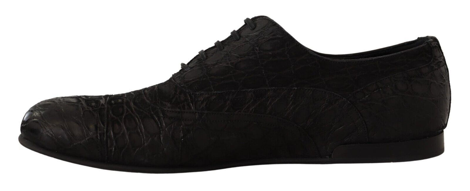 Dolce &amp;amp; Gabbana Svarta Caiman Läder Herr Oxford Skor