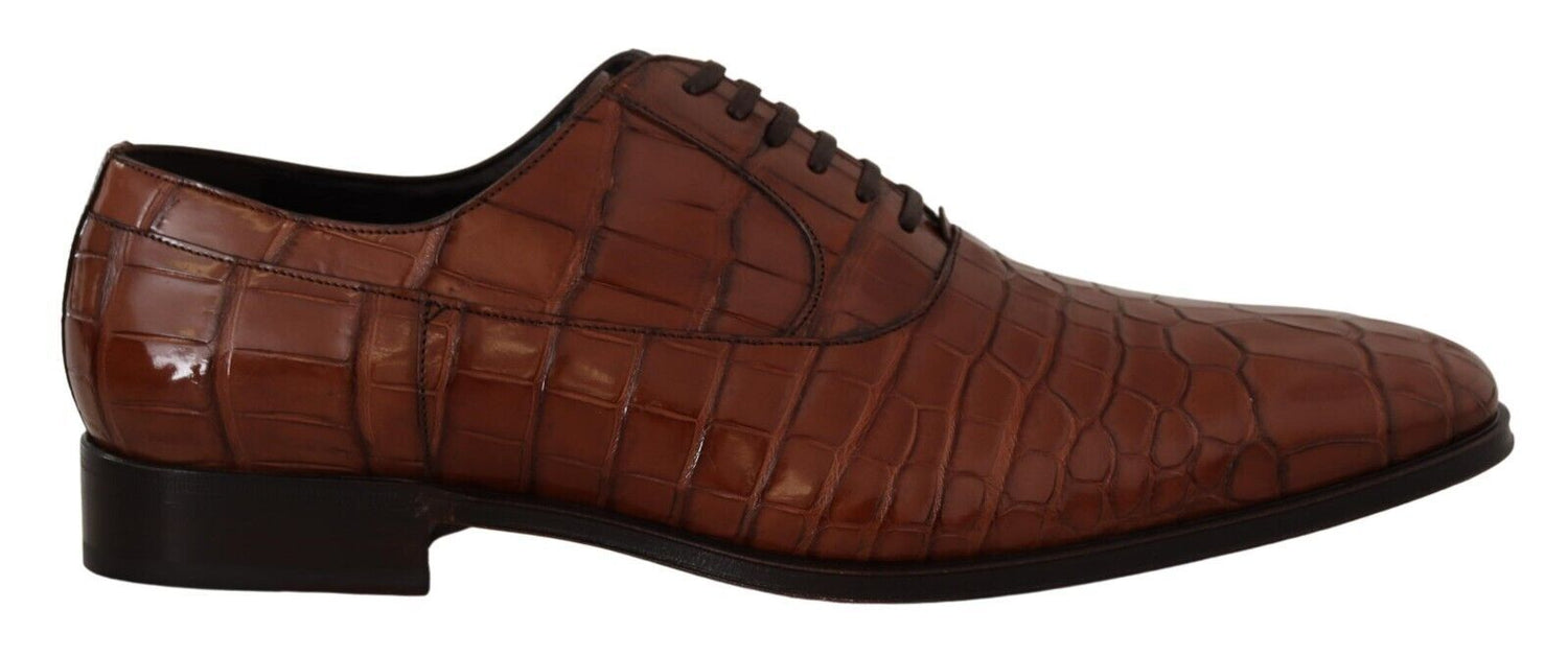 Dolce &amp;amp; Gabbana Bruna Krokodilskinnsskor Herr Formella Derbyskor