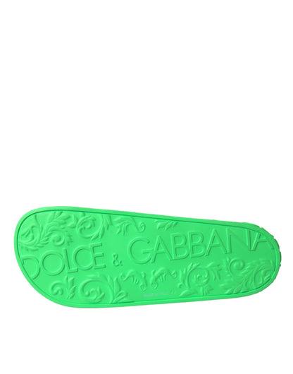 Dolce &amp;amp; Gabbana Gröna Lädersandaler Strandskor