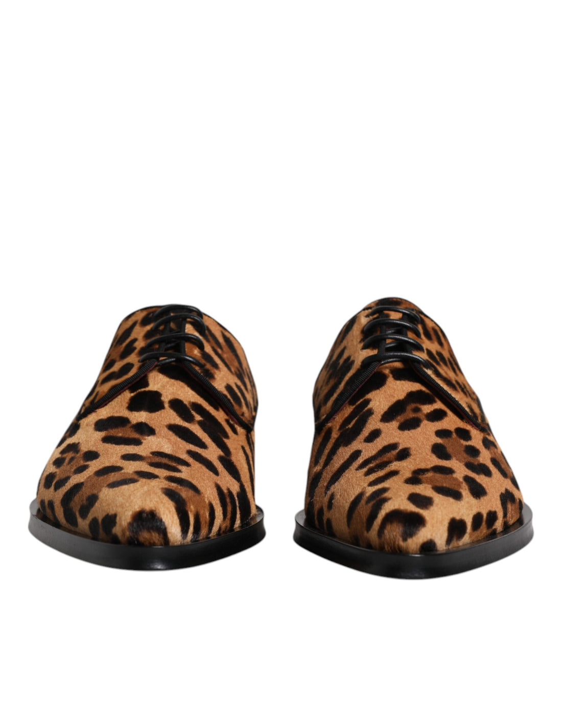 Dolce &amp;amp; Gabbana Bruna Leopard Derby Formella Herrskor