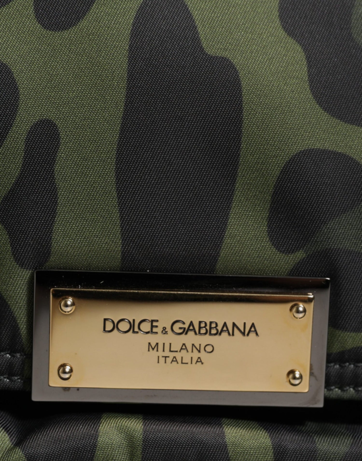 Dolce &amp;amp; Gabbana Grön Nylon Leopardmönstrad Axelremsväska med Skalmönster