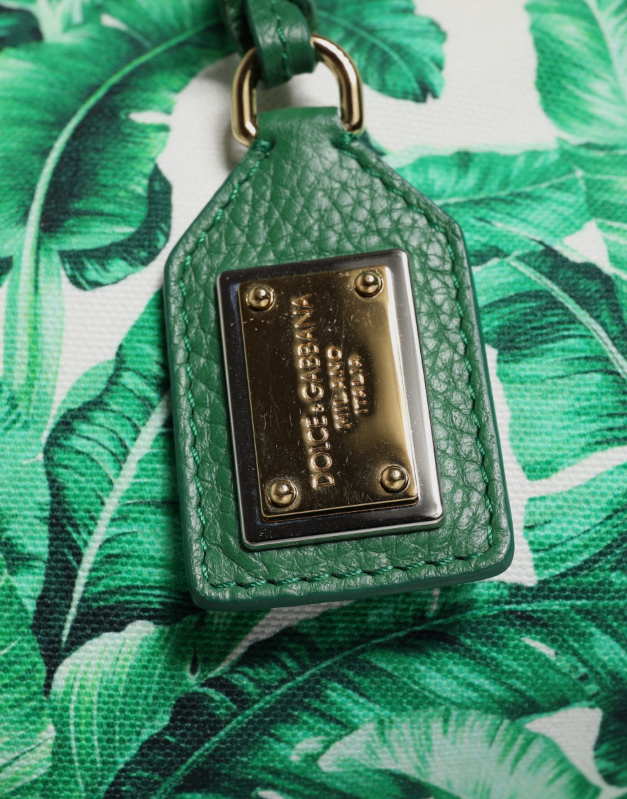Dolce &amp;amp; Gabbana Grön Canvas Botanisk Trädgård Dam Toteväska