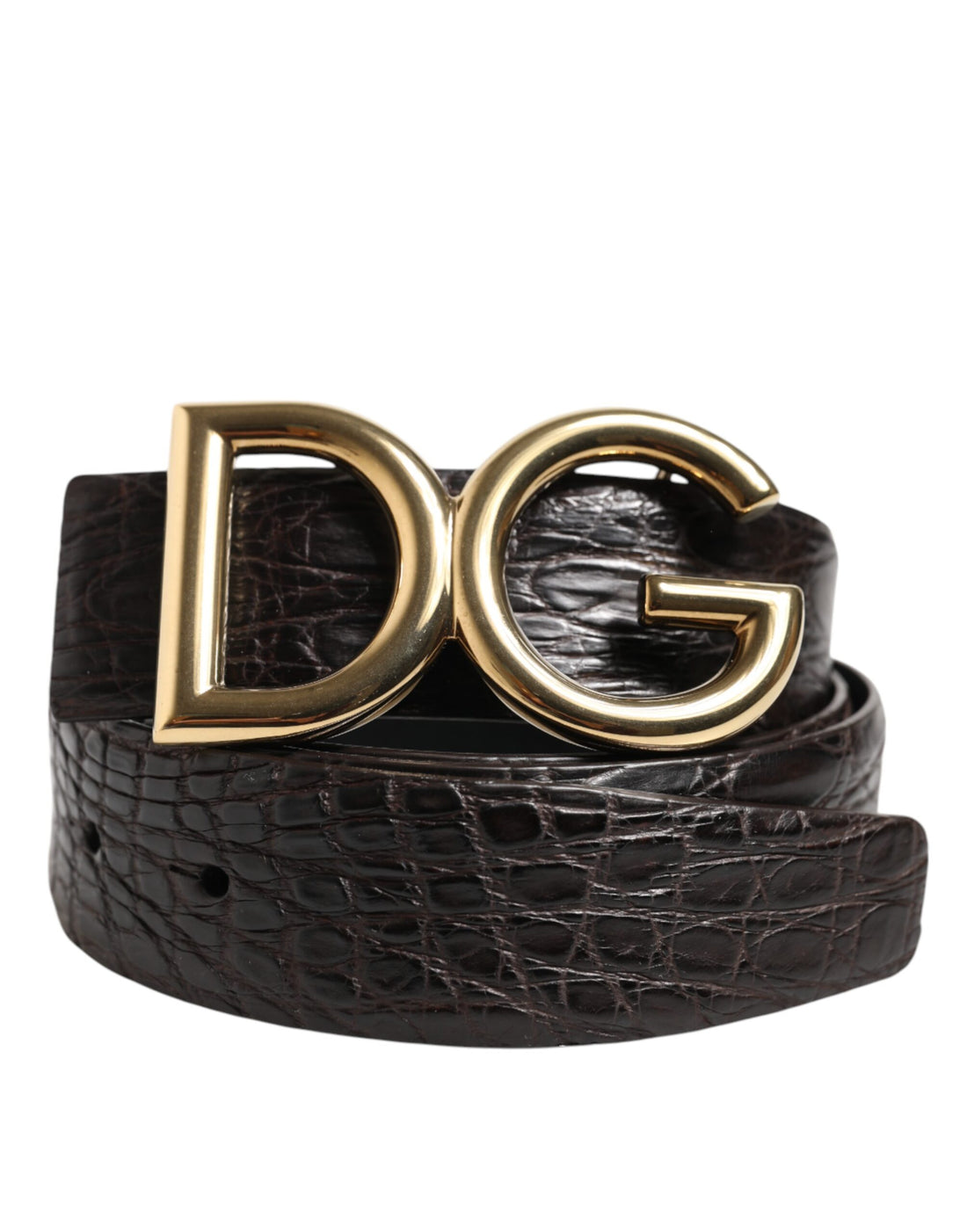 Dolce &amp;amp; Gabbana Svart Exotiskt Läderbälte med DG-Logotypspänne