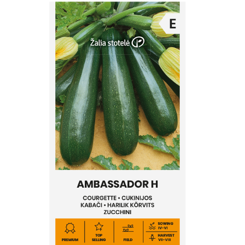 Squash - Ambassadör H