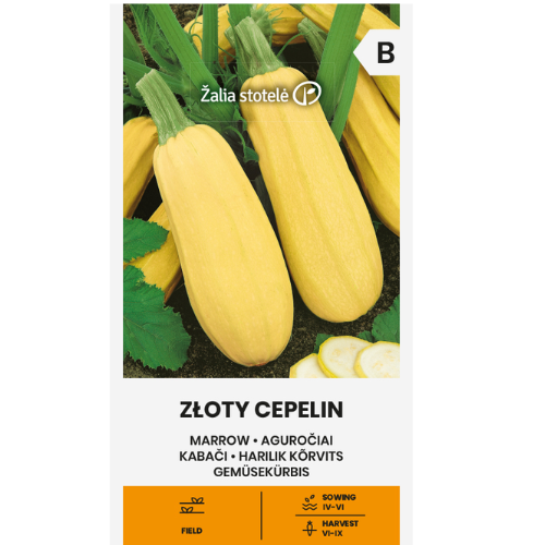 Pump - Gyllene Cepelin