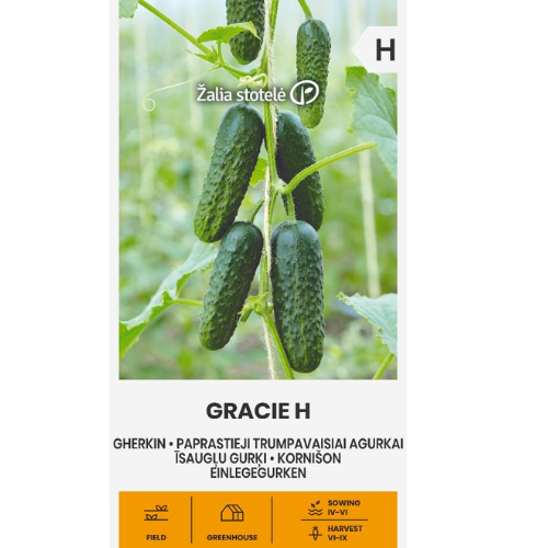 Inläggsgurka - Gracie