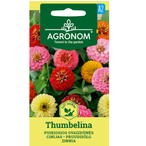 Zinnia - Tummelisa