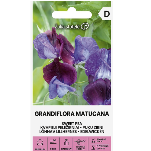 Luktärt - Grandiflora Matucana