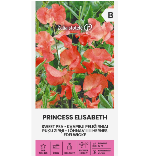 Luktärt - Prinsessan Elisabeth