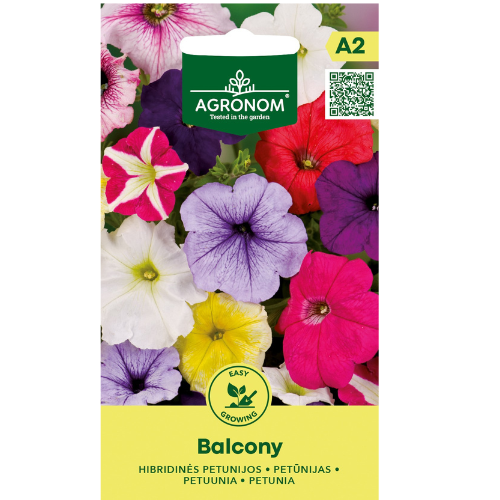 Petunia Balkong 