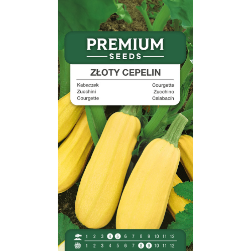 Squash - Gyllene Cepelin