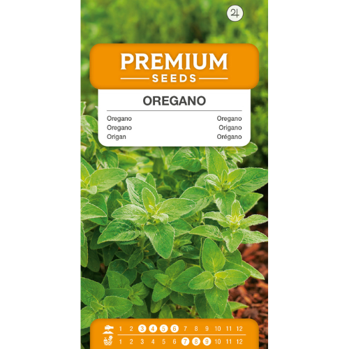Oregano