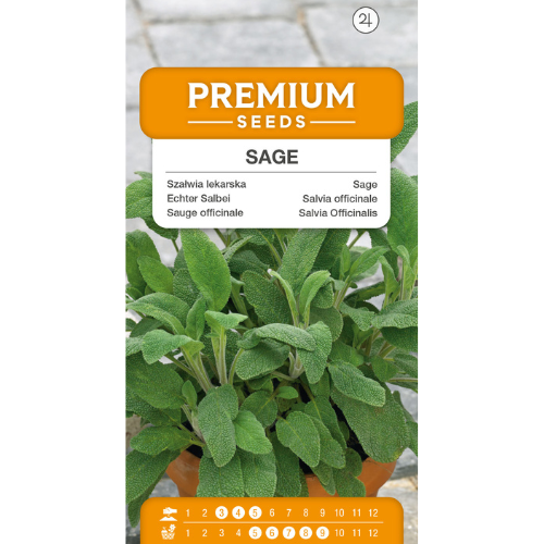 Kryddsalvia