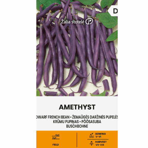 Dvärgböna - Ametist