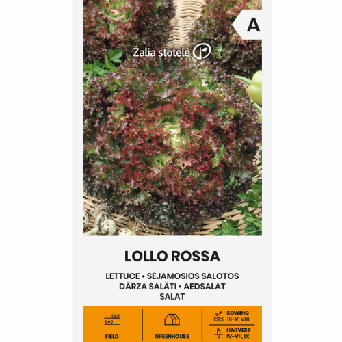 Sallad - Lollo Rossa
