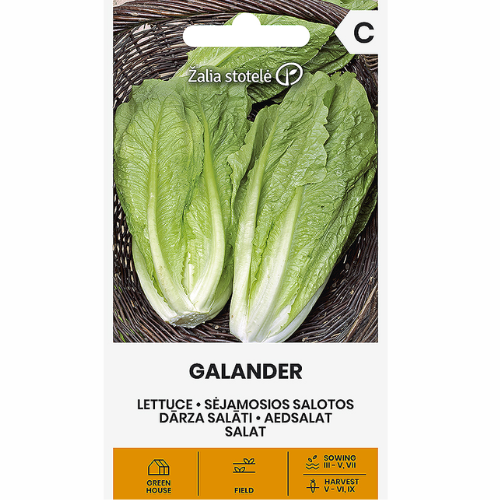 BLADGRÖNSAKAR