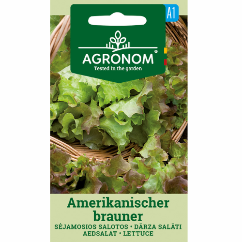 Sallat - Amerikansk brun