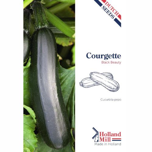 Sommarsquash - Svart skönhet
