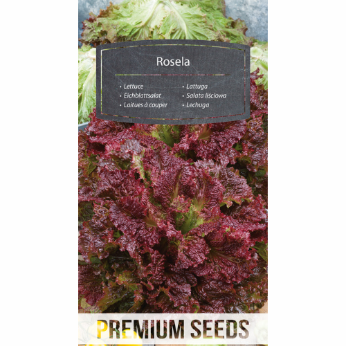 Plocksalat - Rosela