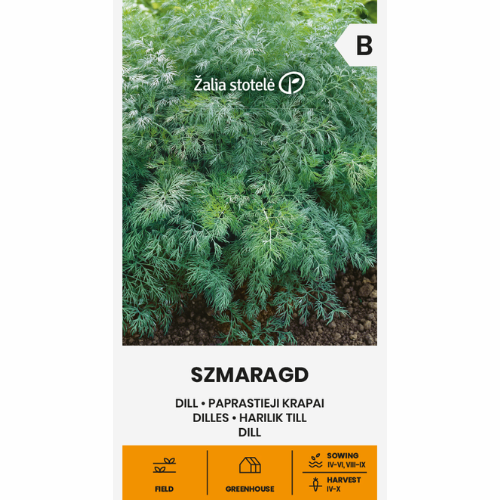 Dill - Smaragd
