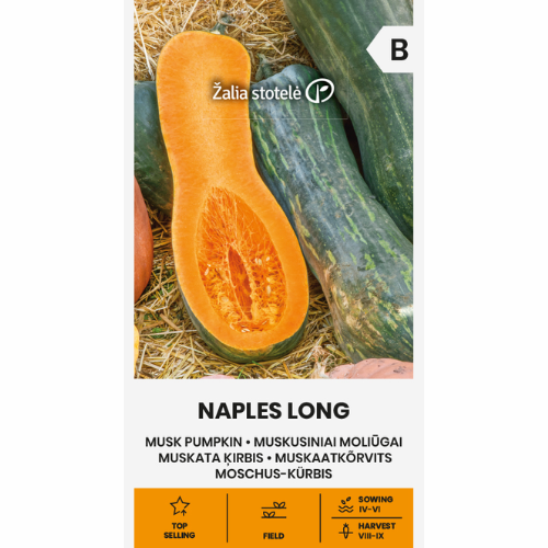 Musk Pumpa - Neapel Long