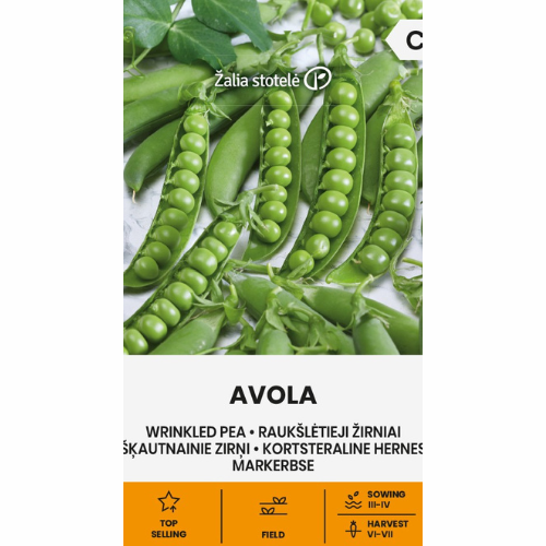 Märgärt - Avola