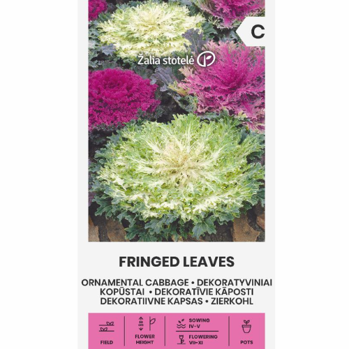 Dekorativ skål – Fransade blad