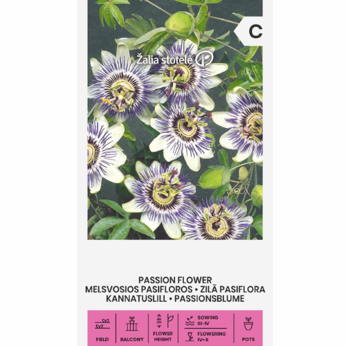 Passionsblomma - Caerulea Blue