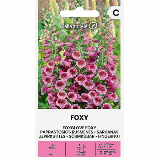 Fingerborgsblomma - Foxy Colour Mix