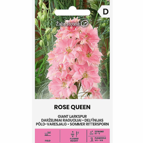 Jätte-Riddarsporre - Rose Queen