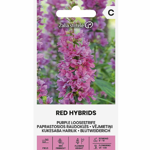 Fackelblomster - Röda hybrider