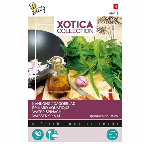 Kankong – Vattenspenat