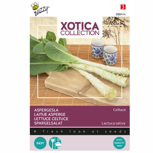 Stamsallat – Celtuce