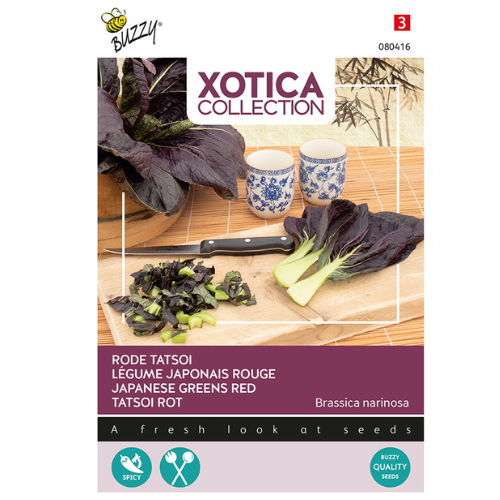 Japanska bladgrönsaker – Red Tatsoi
