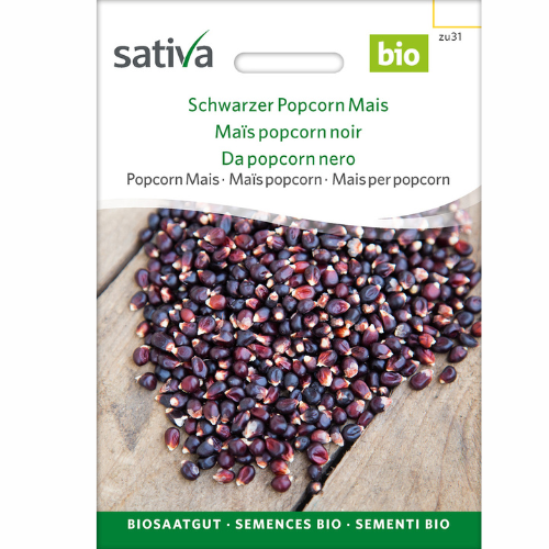 Ekologisk Majs – Svarta popcorn