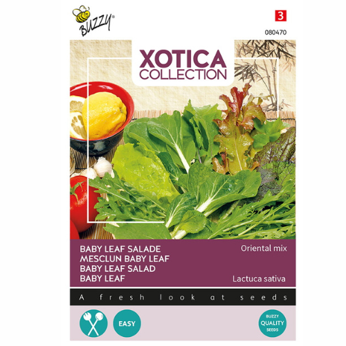 Sallat Baby Leaf – Orientalisk mix