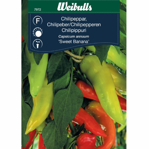 Chilipeppar - Söt banan 