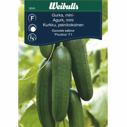 Gurka-Picolino F1 